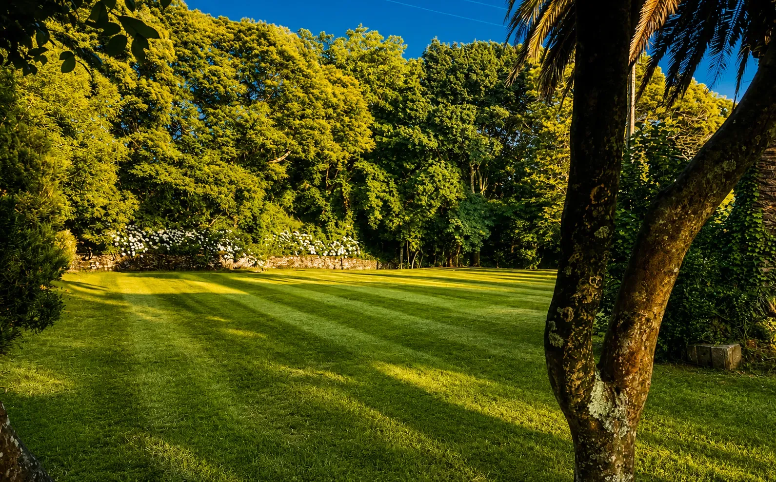 Amplia esplanada de césped en los jardines del Pazo do Souto